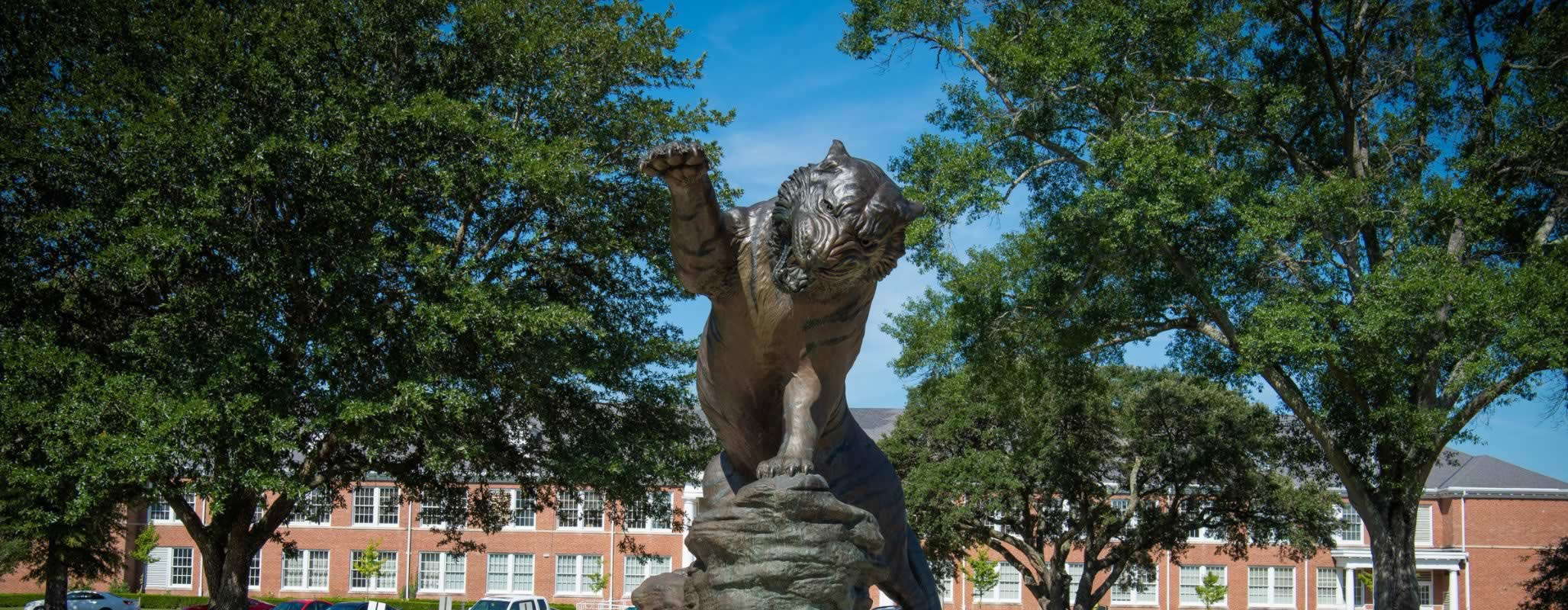 College of Professional Studies